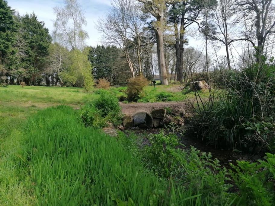 Pebble Cottage Uny Lelant エクステリア 写真