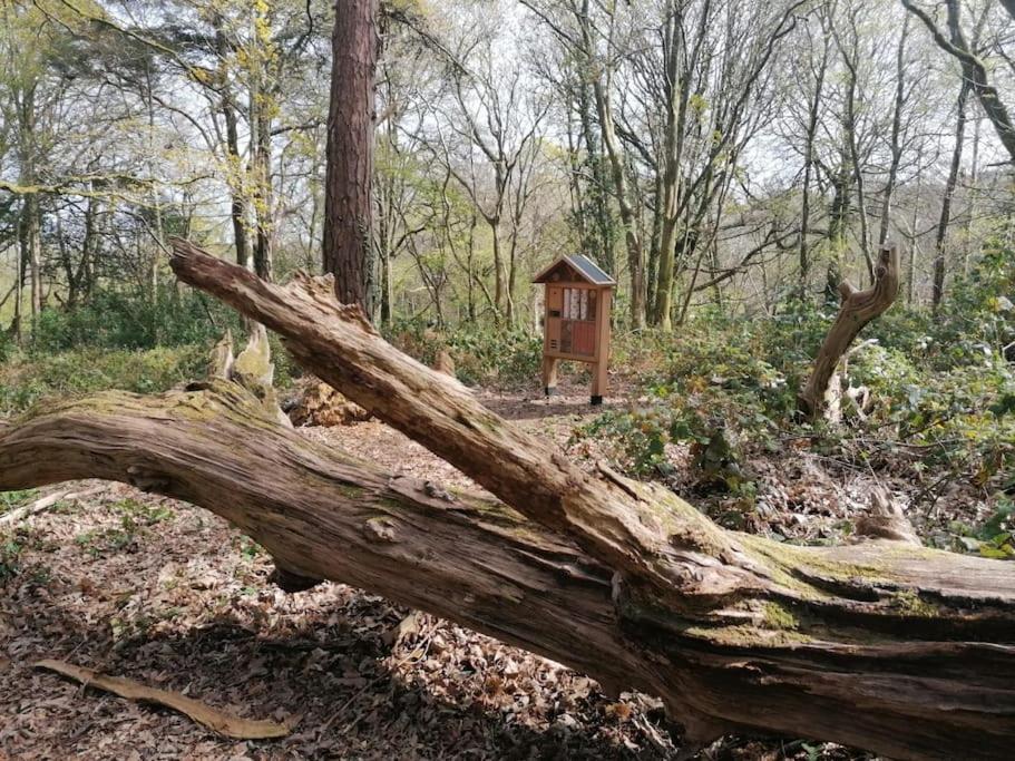 Pebble Cottage Uny Lelant エクステリア 写真